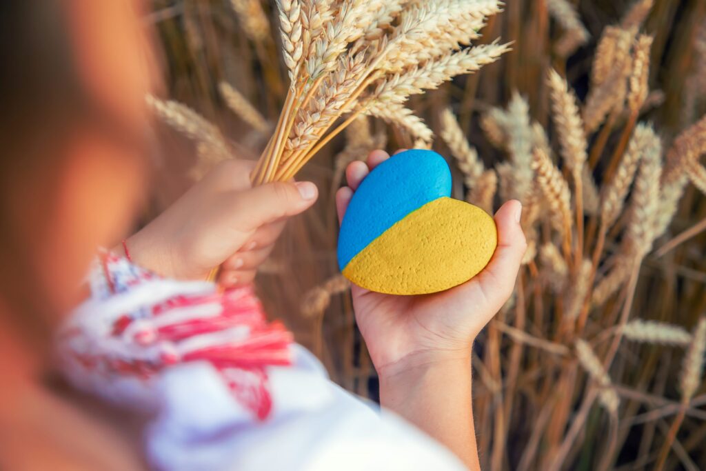 Child in a wheat field. In vyshyvanka, the concept of the Independence Day of Ukraine. Selective focus.
